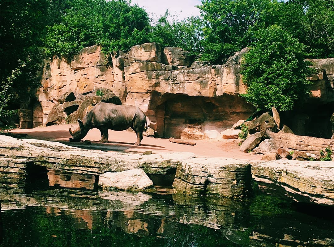 Nashville Zoo at Grassmere